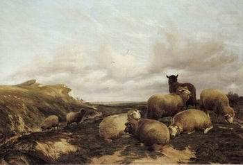 Sheep 159, unknow artist